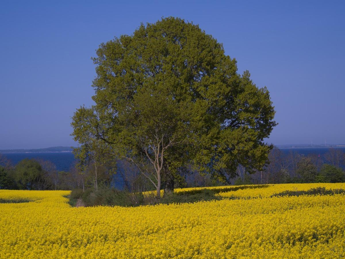 Fewo Muschel Glucksburg Bagian luar foto