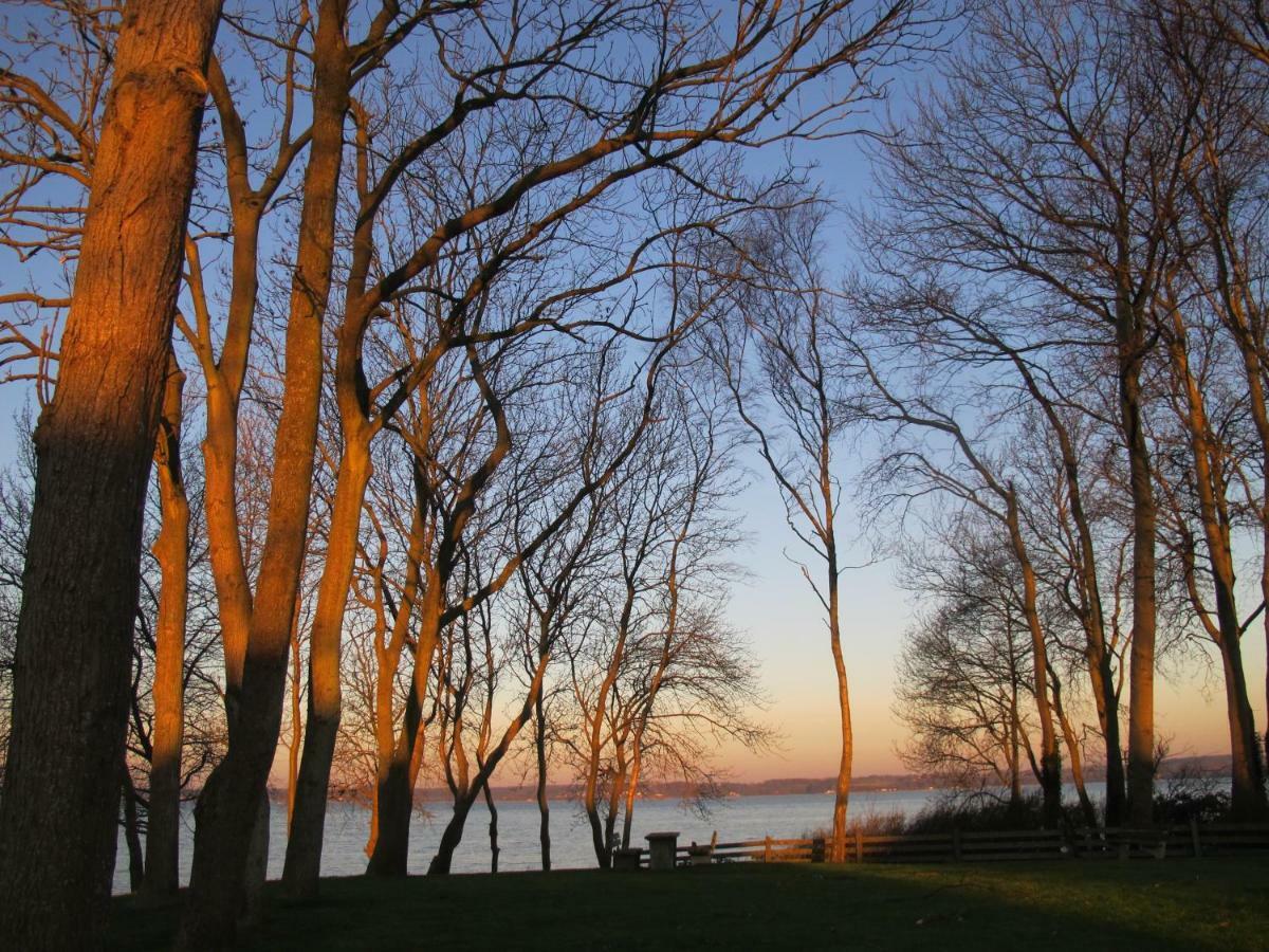 Fewo Muschel Glucksburg Bagian luar foto